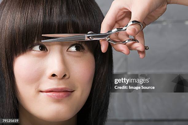 woman having her hair cut - slash 2007 stock pictures, royalty-free photos & images