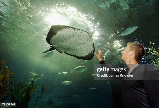 Jarkko Nieminen of Finland visits Melbourne Aquarium on day eight of the Australian Open 2008 on January 21, 2008 in Melbourne, Australia.