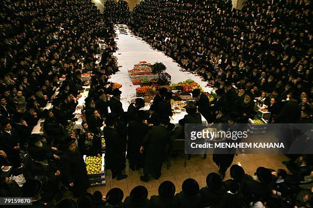 Ultra-Orthodox Jews of the Belz Hasidim celebrate the Jewish feast of Tu Bishvat or Tree New Year as they sit with their rabbis around a long table...