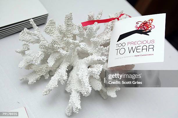 Piece of coral is on display at The Tiffany & Co. Foundation's "Too Precious To Wear" launch to raise awareness of threatened marine animals at MoMA...