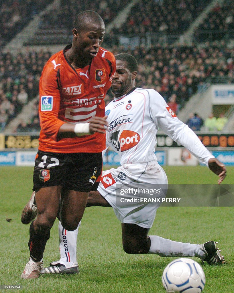 Rennes' defender Rod Fanni (L) vies with