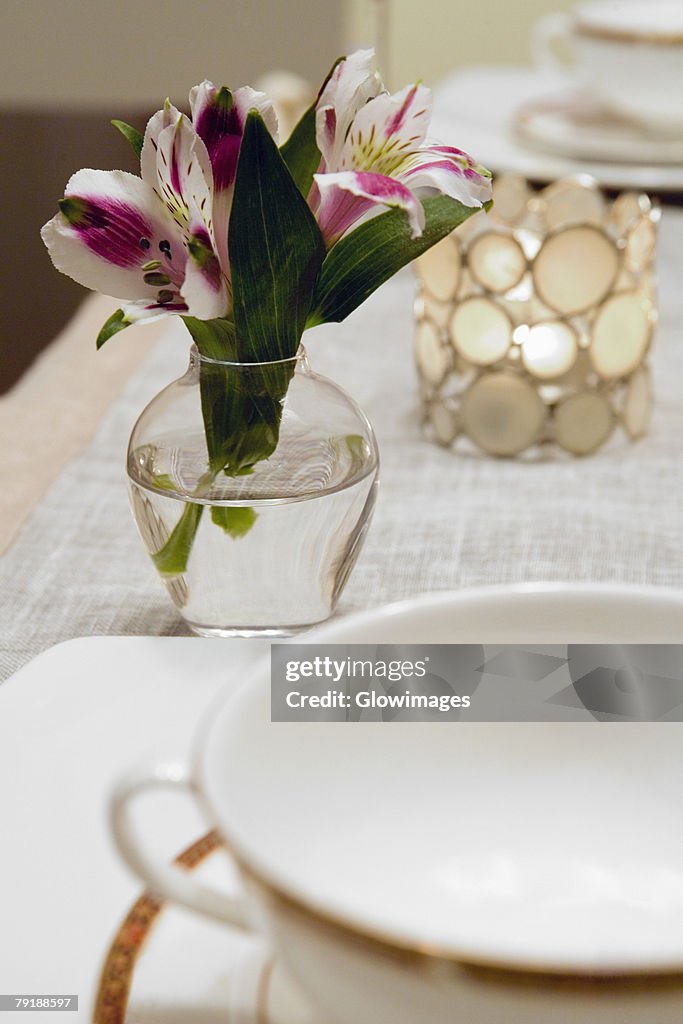 Close-up of a flower vase on a dining table