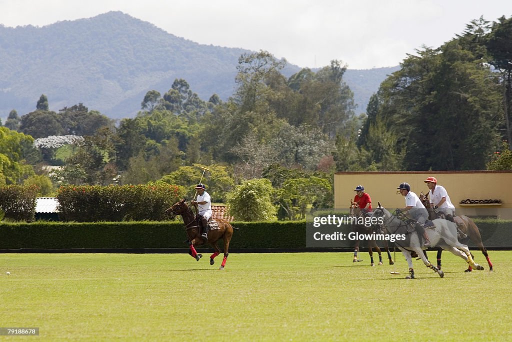 Polo players playing a polo match