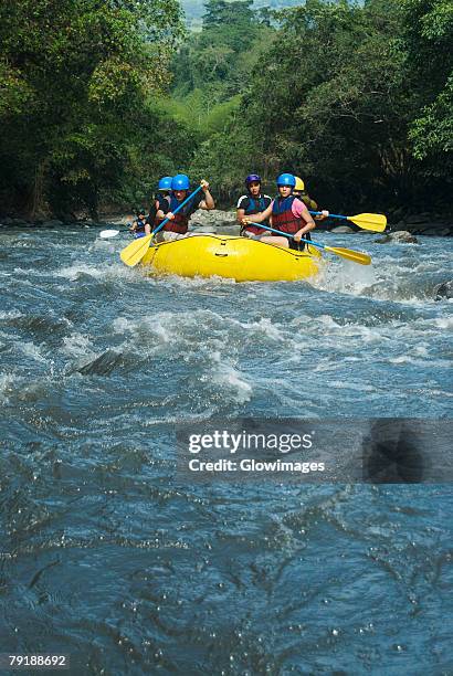 five people rafting in a river - white water rafting stock pictures, royalty-free photos & images