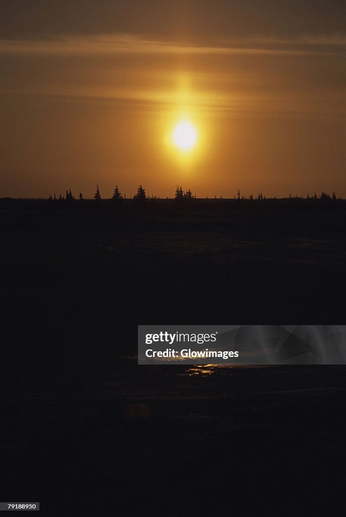 Sunset over a forest, Churchill, Manitoba, Canada