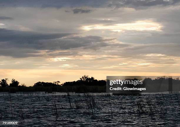 clouds over a swamp, okavango delta, botswana - gloomy swamp stock pictures, royalty-free photos & images