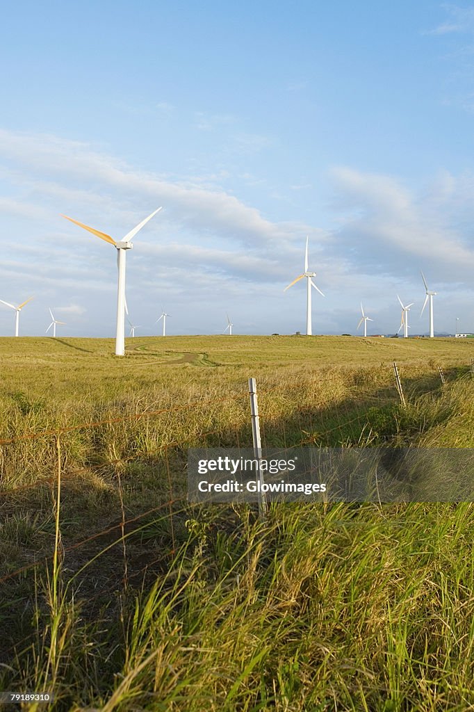 Wind turbines in a field, Pakini Nui Wind Project, South Point, Big Island, Hawaii Islands, USA