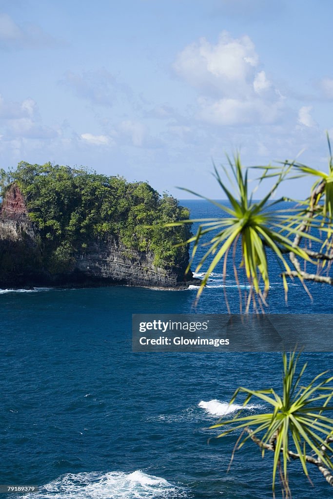 Cliff overlooking the sea, Hawaii Tropical Botanical Garden, Hilo, Big Island, Hawaii Islands, USA