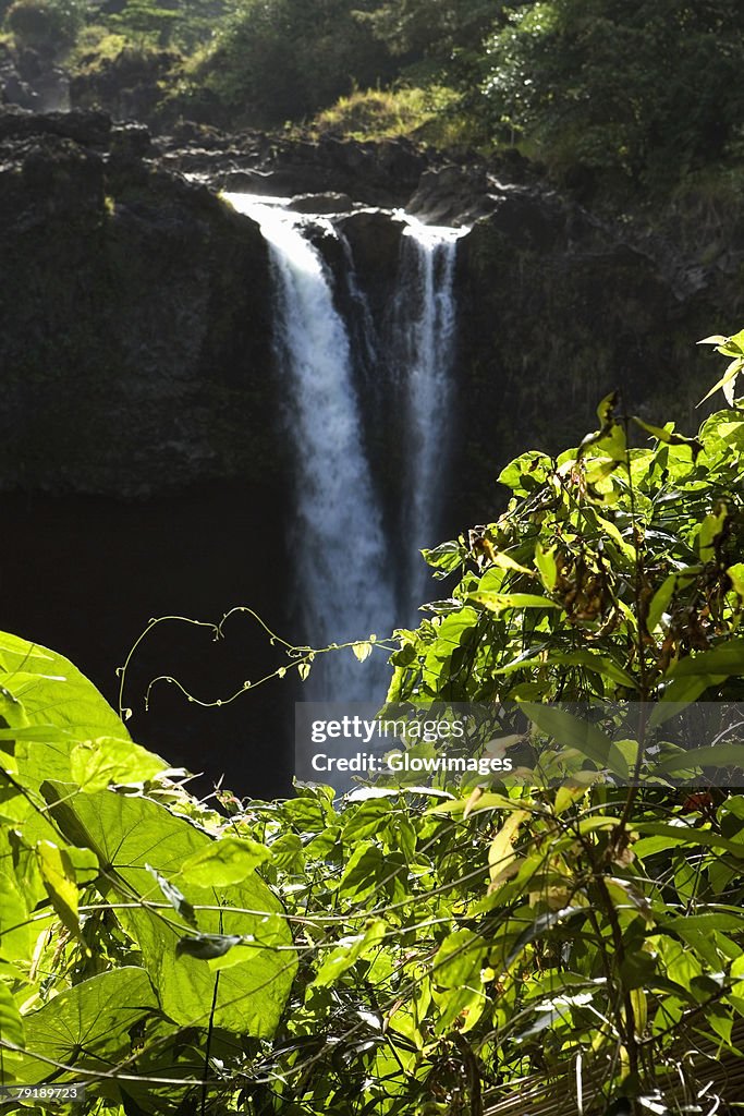 Waterfall in a forest, Rainbow Falls, Hilo, Big Island, Hawaii Islands, USA
