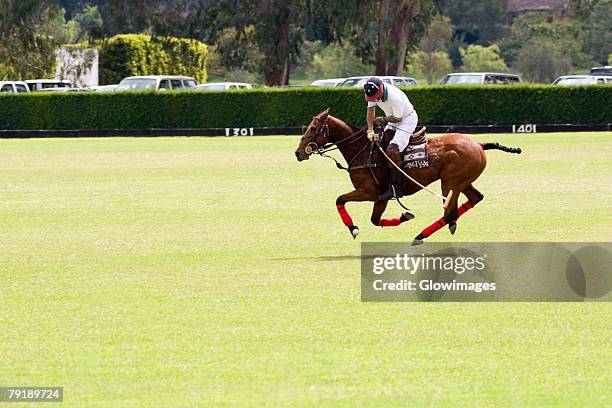 side profile of a man playing polo - polo field stock pictures, royalty-free photos & images