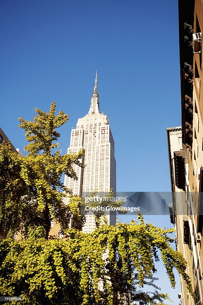 Low angle view of a building, Empire State Building, Manhattan, New York City, New York State, USA