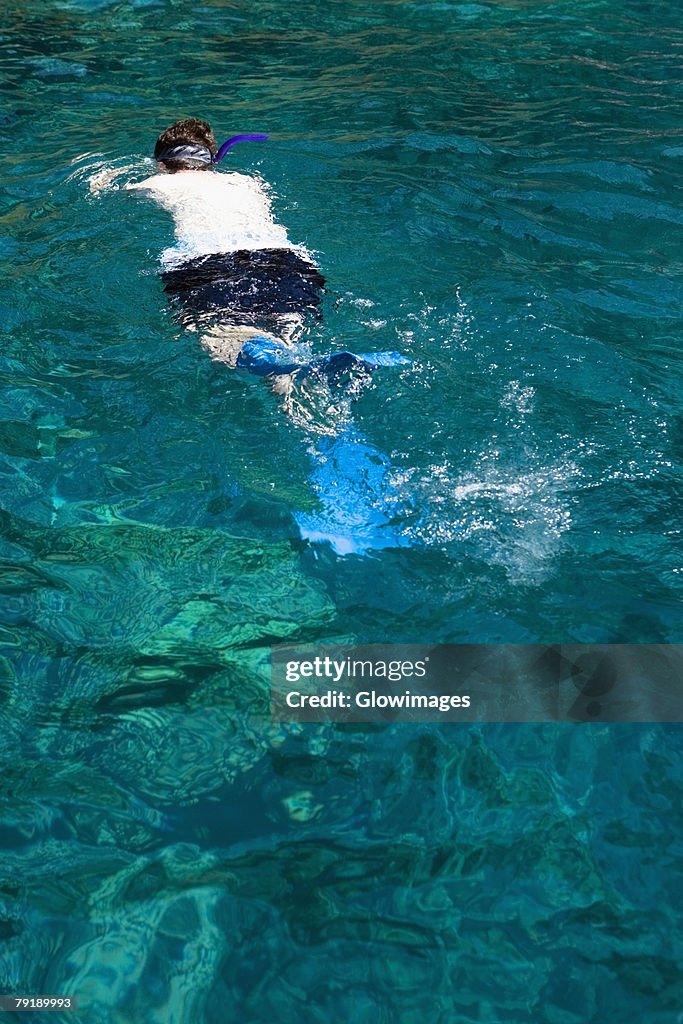 Man snorkeling in the sea, Captain Cook's Monument, Kealakekua Bay, Kona Coast, Big Island, Hawaii Islands, USA