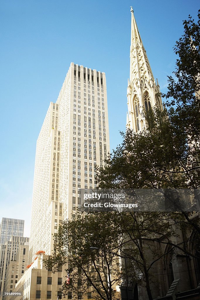 Low angle view of a church, St. Patrick's Cathedral, Manhattan, New York City, New York State, USA