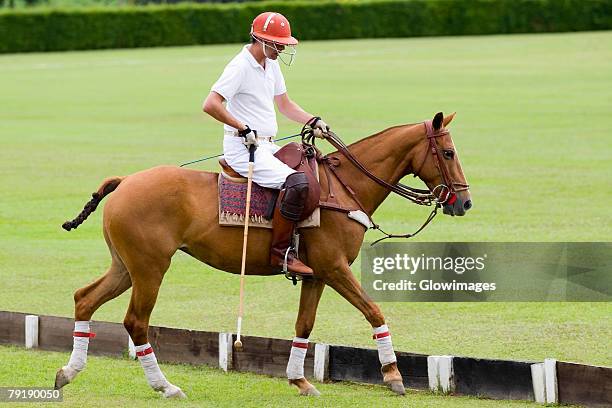 side profile of a man playing polo - polo field stock pictures, royalty-free photos & images