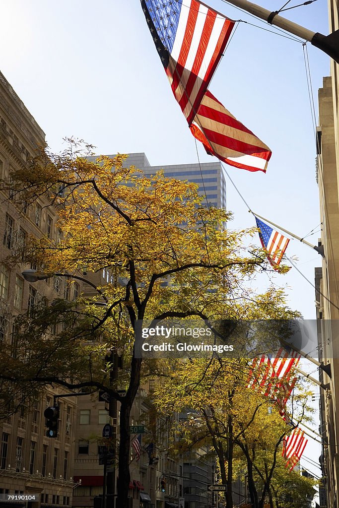 Low angle view of American flags fluttering on a building, Fifth Avenue, Manhattan, New York City, New York State, USA