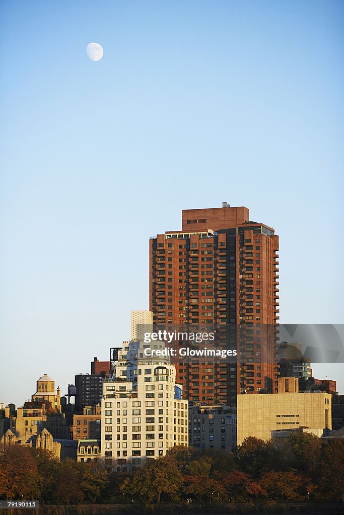 Skyscrapers in a city, New York City, New York State, USA