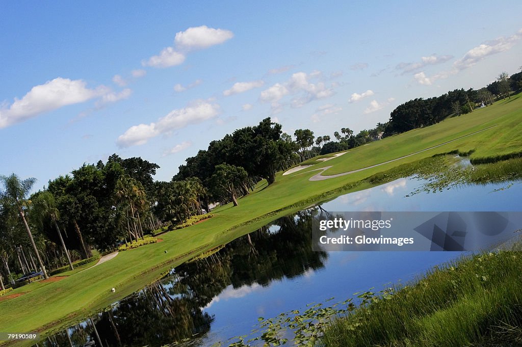 Pond in a golf course