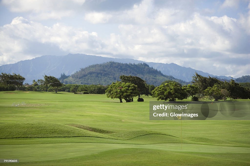 Trees in a golf course with a mountain range in background, Kauai, Hawaii Islands, USA