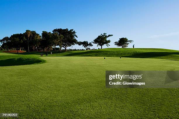 trees in a golf course - empty golf course stock pictures, royalty-free photos & images