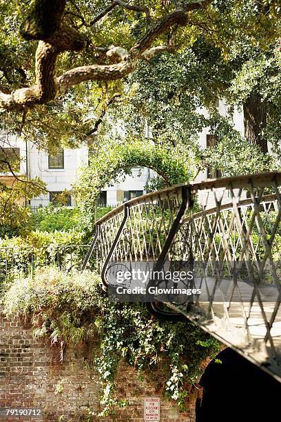 trellis and the footbridge in a park, savannah, georgia, usa - savannah georgia fotografías e imágenes de stock