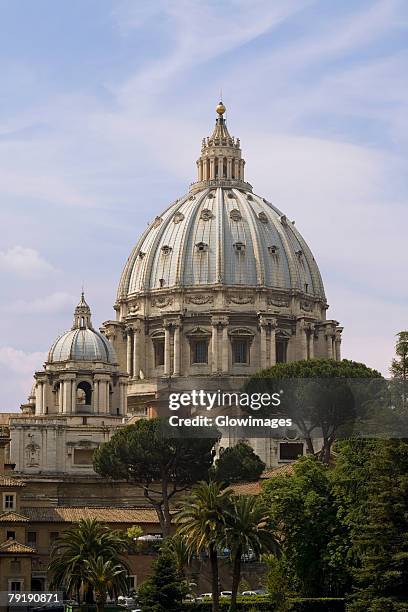 trees in front of a church, st. peter's square, st. peter's basilica, vatican, rome, italy - st peter's square bildbanksfoton och bilder