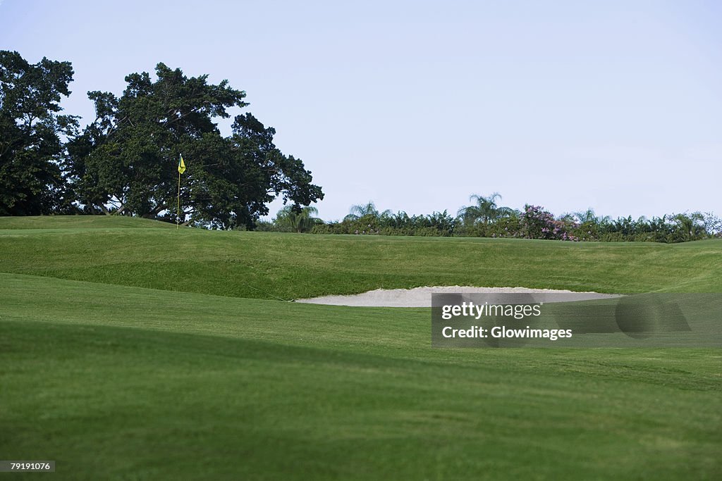 Golf flag in a golf course