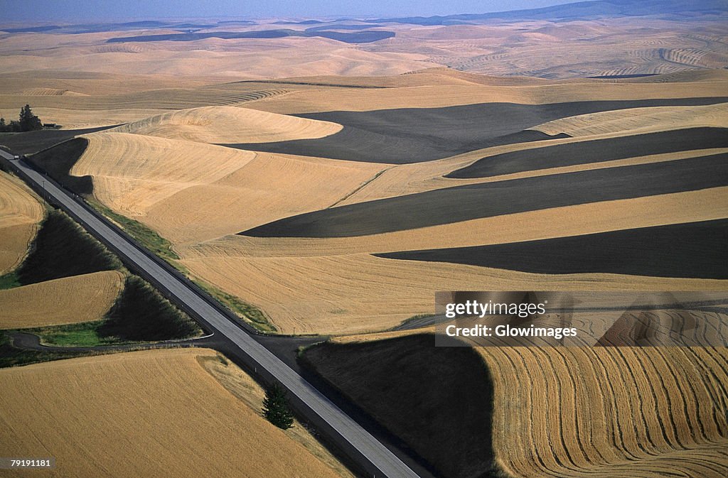 Aerial view of contour plowed fields, Washington state