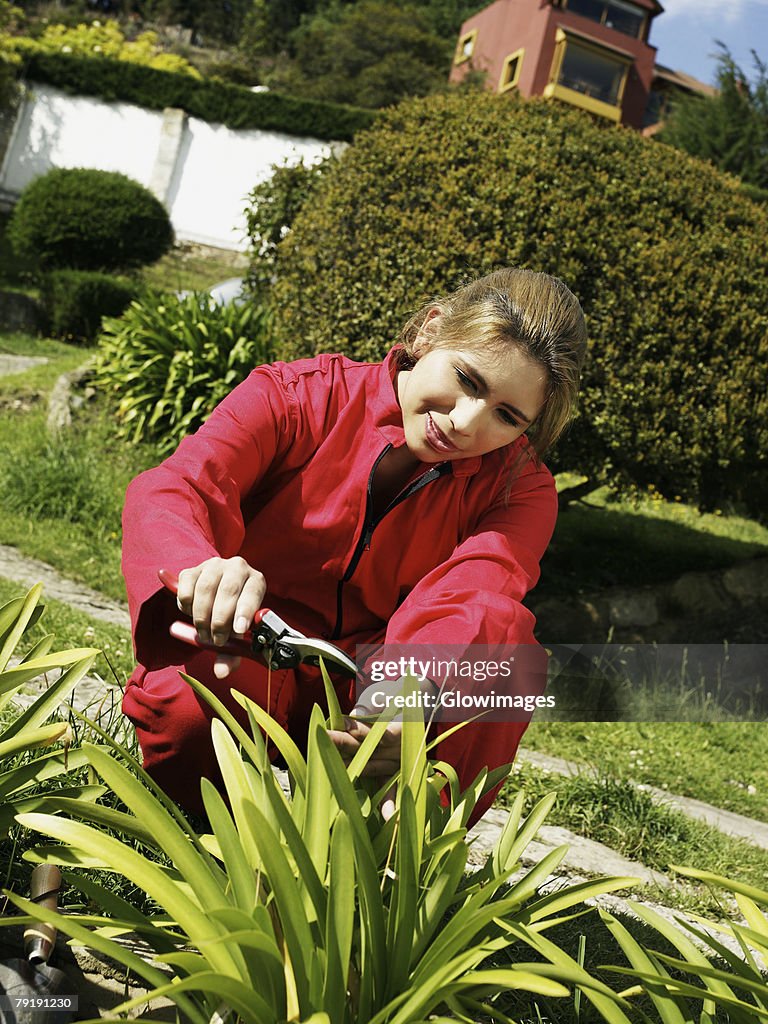 Young woman cutting plants with a secateurs in a garden