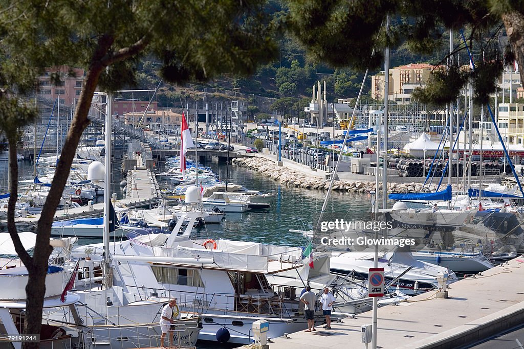 Cruise ship and boats docked at a harbor, Monte Carlo, Monaco