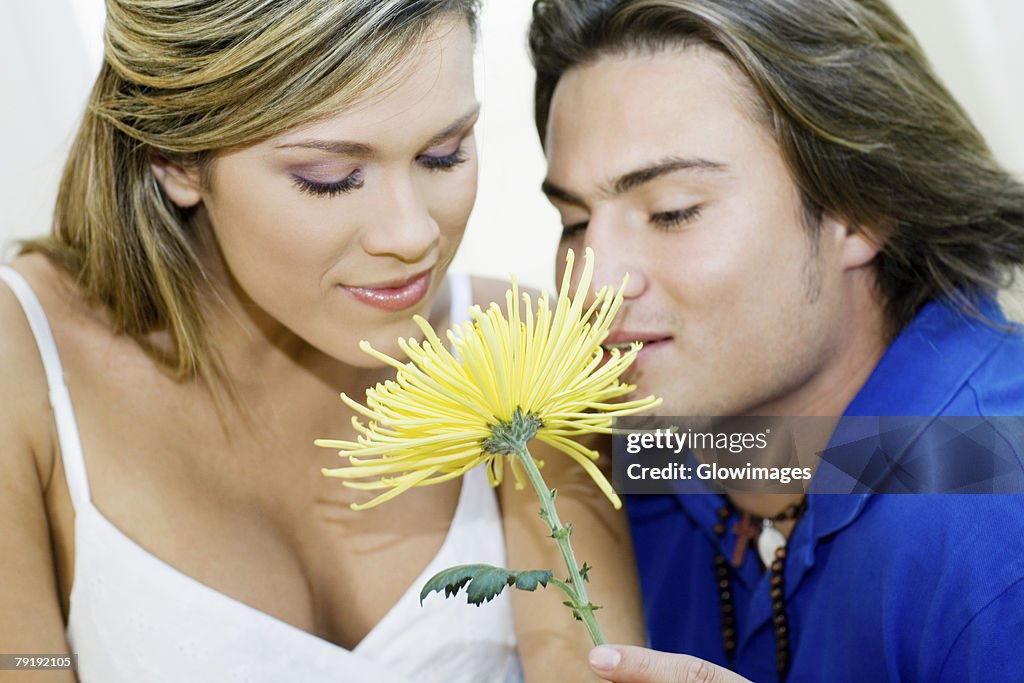 Close-up of a young couple smelling a flower