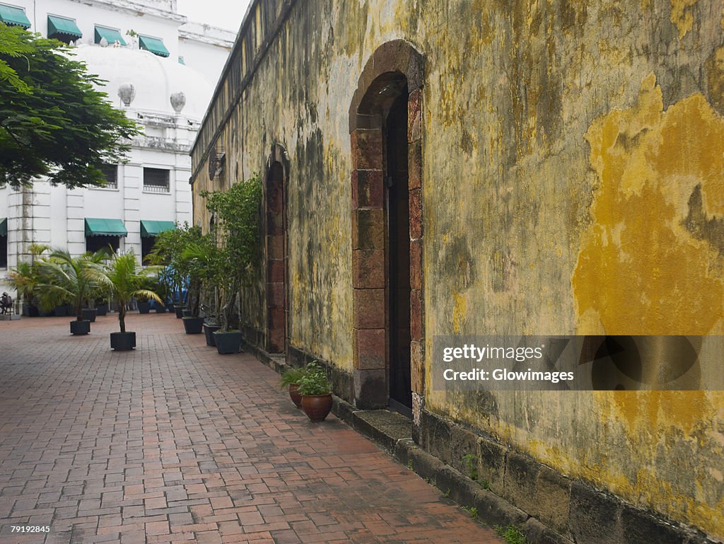 Potted plants against a wall, Old Panama, Panama City, Panama