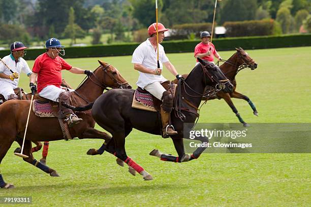 four polo players playing polo - polo horse fotografías e imágenes de stock