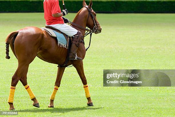 low section view of a man playing polo - polo horse stock-fotos und bilder
