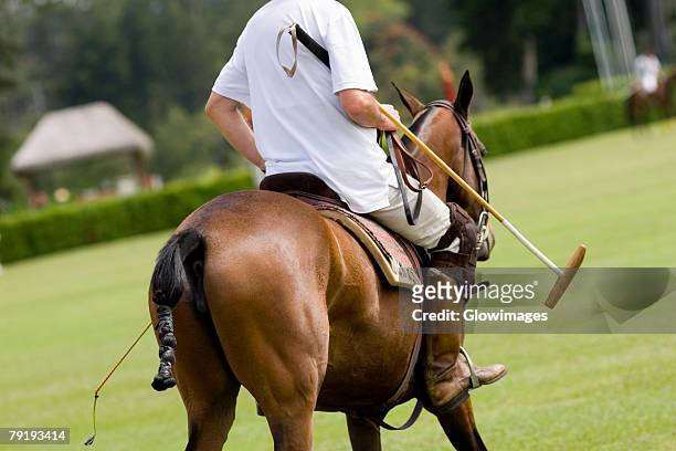 rear view of a man playing polo - behind the green horse stock pictures, royalty-free photos & images
