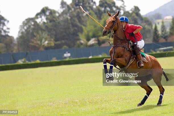 man playing polo - polo field stock pictures, royalty-free photos & images