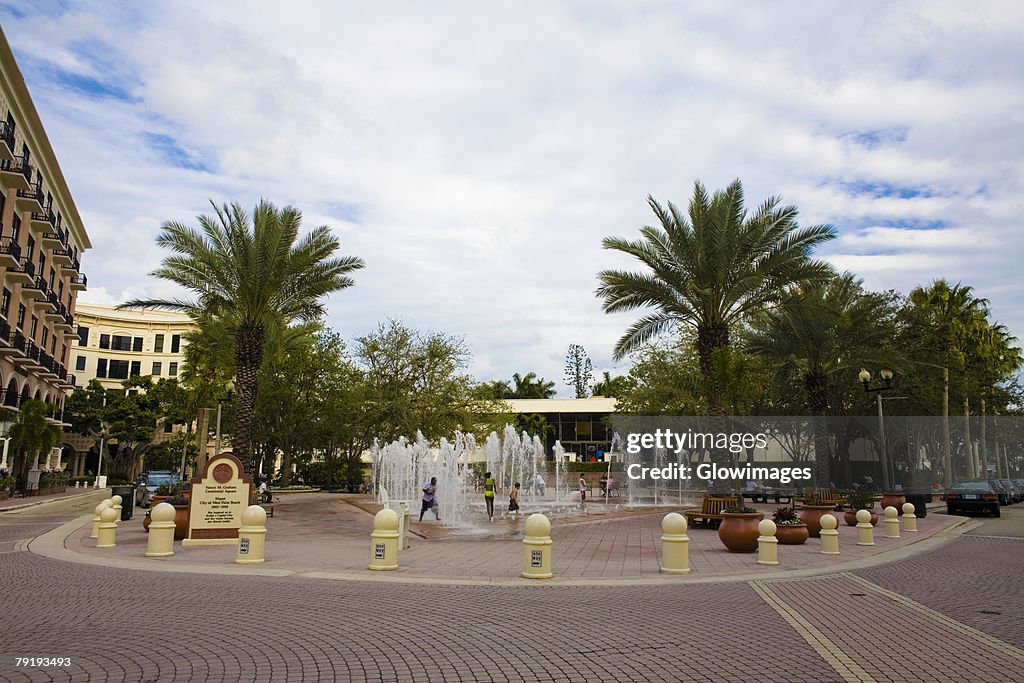 Trees near a fountain, West Palm Beach, Florida, USA