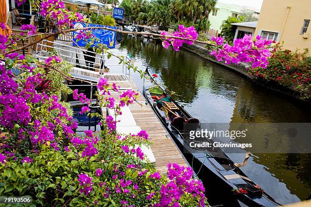 high angle view of a boat moored at canal, fort lauderdale, florida, usa - moored stock pictures, royalty-free photos & images