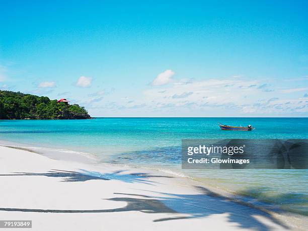 shadow of trees on the beach, providencia, providencia y santa catalina, san andres y providencia department, colombia - providencia colombia stock pictures, royalty-free photos & images