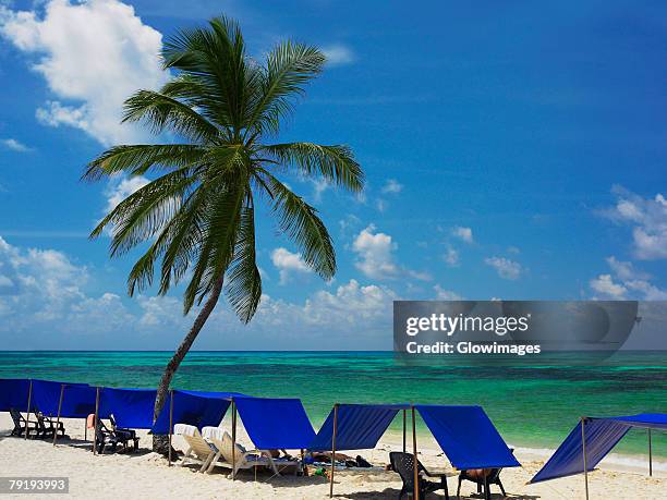 tents on the beach, spratt bight beach, san andres, providencia y santa catalina, san andres y providencia department, colombia - colombia beach stock pictures, royalty-free photos & images