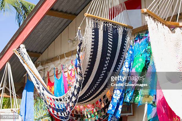 hammocks hanging at a market stall, coxen hole, roatan, bay islands, honduras - honduras stock-fotos und bilder