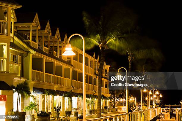 street lights and palm trees in front of house, key west, florida, usa - monroe county florida stock pictures, royalty-free photos & images