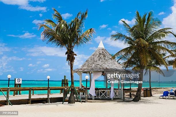 beach hut on the beach, cable beach, nassau, bahamas - new providence - fotografias e filmes do acervo