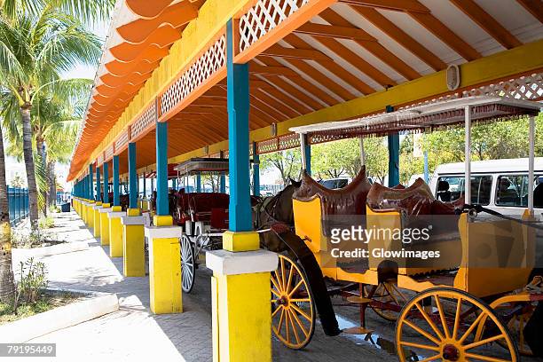 horse carts in a parking lot, surrey rides, nassau, bahamas - surrey wagons stock pictures, royalty-free photos & images