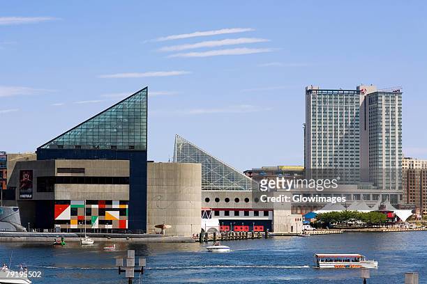 buildings at the waterfront, national aquarium, inner harbor, baltimore, maryland, usa - baltimore maryland daytime stock pictures, royalty-free photos & images