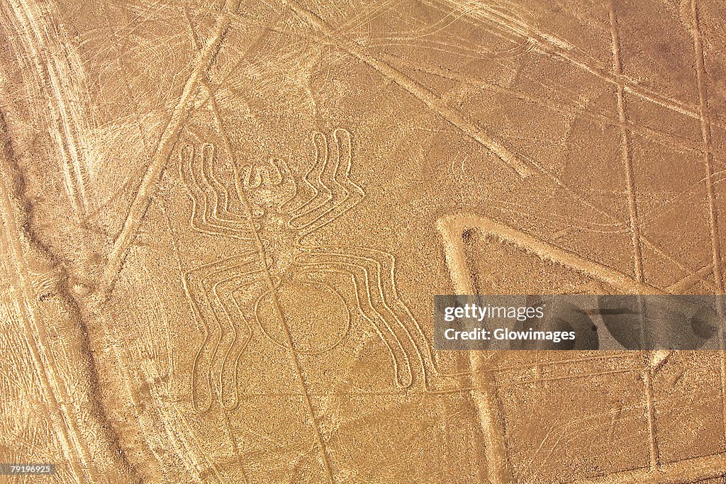 Aerial view of Nazca lines representing a spider, Nazca, Peru