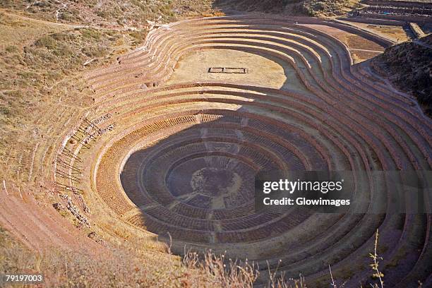 high angle view of a circular terraced field, moray, cuzco, peru - moray cusco fotografías e imágenes de stock