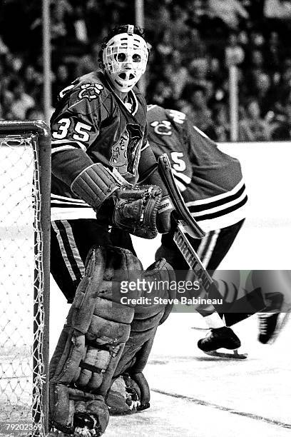 Tony Esposito of the Chicago Black Hawks tends goal against the Boston Bruins at Boston Garden.