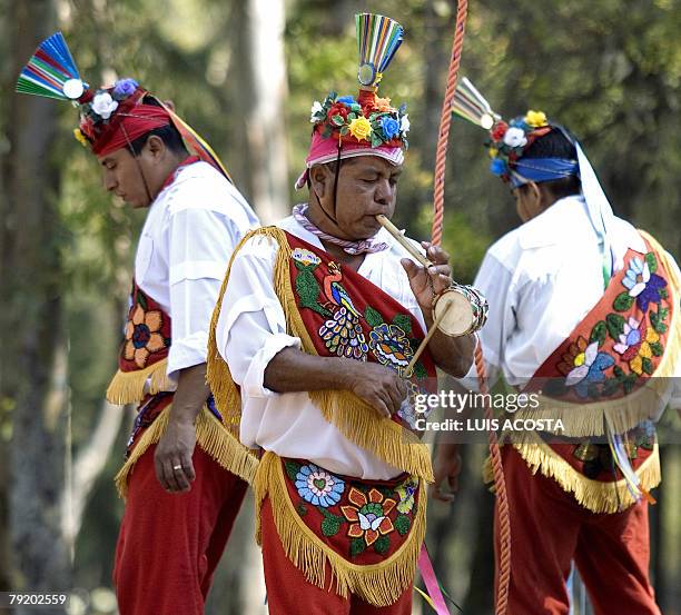 Mexican Totonaca natives play indigenous instruments during the ritualistic dance of "Los Voladores" in Mexico City, 24 January 2008. "Los Voladores"...