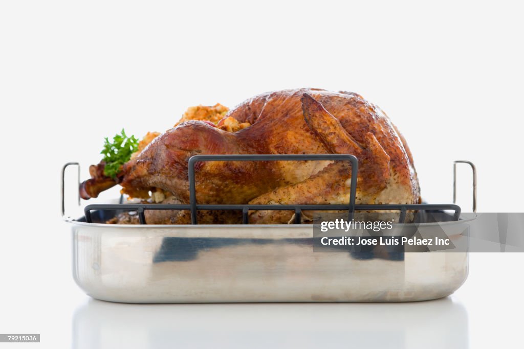 Studio shot of roasted turkey in pan