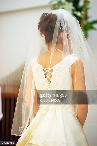 rear view of bride - white dress back stock pictures, royalty-free photos & images